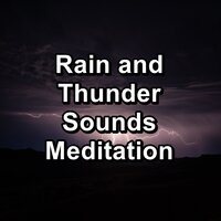 Forest Rain in the Rainy Forest with Sleeping Music - deep sleep music collective & Relax Meditate Sleep & Music For Deep Sleep