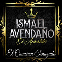 Me Gusta Ponerle al Polvo - Ismael Avendaño El Amable & Joel Alvarado