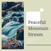Wandering Star - Bedtime Songs Collective