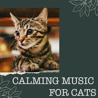 Reassuring Frame of Mind - Calming Music for Cats & Music for Cats Project & Music For Cats Peace