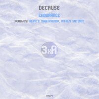 Endurance - Decause & Vitaly Shturm