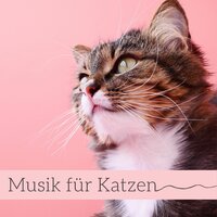 Verwöhnen Sie Ihr Haustier - Entspannungsmusik Universe