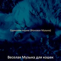 Чувство (Одинокие кошки) - Веселая Музыка для кошек