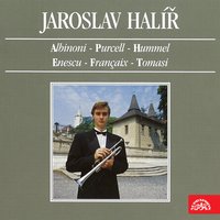 Sonatina: III. Gigue - Jaroslav Halíř, Daniel Wiesner & Jaroslav Halir & Daniel Wiesner