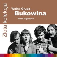 Bukowina II - Wolna Grupa Bukowina