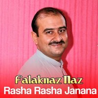 Pagal Zargi Manale De - Falaknaz Naz
