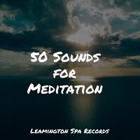 Waves - Ambient Music Therpy & Yoga Sounds & Sleep Lullabies for Newborn