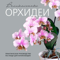 Елена Бачурина. «Великолепные орхидеи. Практичное руководство по уходу для начинающих». Часть 11 - Лина Ветлицкая