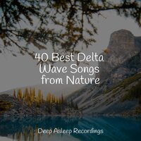 Pilates Moments - Sleep Sound of Nature & White Noise Therapy & Ocean Sounds