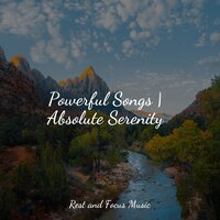 Serenity - Baby Sweet Dream & Relax Meditation Sleep & Asian Zen: Spa Music Meditation
