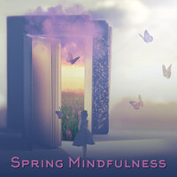 Spiritual Connection - Stress Relief Calm Oasis