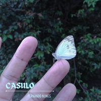 Casulo - Fernando Nunes