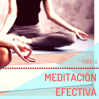 Cuerpo y Mente - Meditación Efectiva