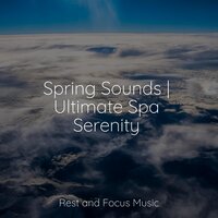 Deep Forest Calm - Musica Relaxante & Mindfulness Meditation Universe & Echoes of Nature
