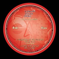 Dub Of Life - ashanti selah