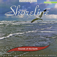 Waves on the Shoreline - Sounds Of The Earth