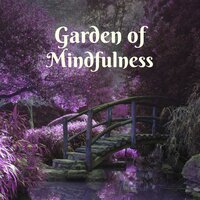Tropical Ambiance - Mindfulness Mind Body Space