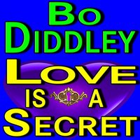 Mule Train - Bo Diddley