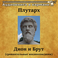 Дион и Брут. Часть 4 - Аудиокнига в кармане & Сергей Казаков