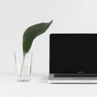 Meditation Tree - Office Music Specialists & Office Background Music & Relaxing Office Music Collection