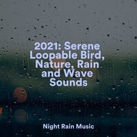 Boats by the Shore - Rain Makers & Relaxing Rain Sounds & Sonidos de lluvia para dormir