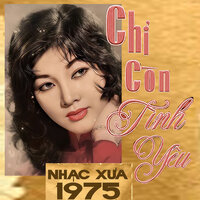 Anh Hỡi Anh Cứ Về - Phương Phạm Guitarist