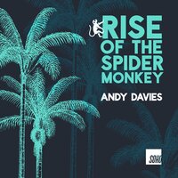 Rise of the Spidermonkey - Andy Davies