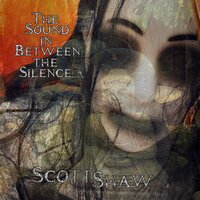 Reticence - Scott Shaw