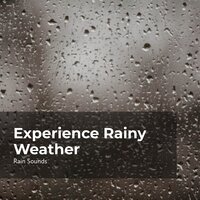 Rain Starting to Pour - Rain Sounds & Rain Storm Sample Library & Natural Rain Sounds for Sleeping