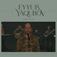 Cənab Zabitlər - Eyyub Yaqubov
