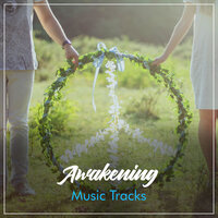 Shining Through the Drum of Rain - Ambiente spazio musica, Spa Chillout Music Collection, Meditation Focus & Spa Chillout Music Collection & Meditation Focus & Ambiente spazio musica