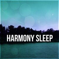 Music for Dreaming - Sleepy Music Zone