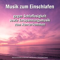 Beglückende Empfindungen - Musik zum Einschlafen von Bachstamm & Baby Sleep Music & Relaxing Music Therapy