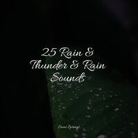 Forest, Light Rain, MIdday - Monarch Baby Lullaby Institute & Sampling XL & Sleep Tight
