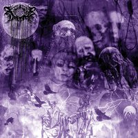 Mesmerized By Misery - Xasthur