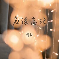 应该忘记 - 刘纯