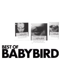 You're Gorgeous - Babybird & Stephen Jones & Luke Scott & Robert gregory & John Pedder & Huw Chadbourn