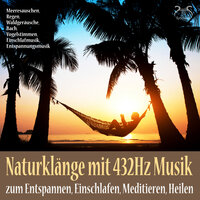 Naturgeräusche aus der Heimat und Entspannungsmusik in 432Hz, Gesunder Schlaf, Teil 7 - Max Entspannung & Torsten Abrolat & SyncSouls
