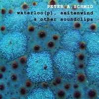 Affentanz - Peter A.Schmid feat. Roger Girod & Peter A.Schmid & Roger Girod