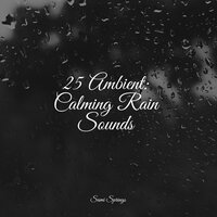 Camping by the Fire - Música para Massagem Especialistas & Calming Rainforest Sounds & Zarobi