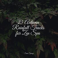 Tranquil Sea - Master Meditação & Massagem Guru & Anxiety Relief