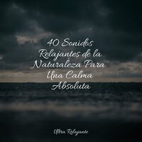 Un Equilibrio Armónico - Massagem Coleção de Músicas & Jazz Para Crianças & Canciones De Cuna Para Dormir Bebes