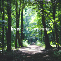 Cool shade - Steven Jason