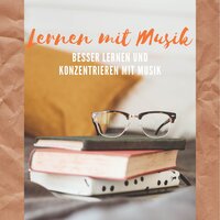 Gedanken - Lernen Farin