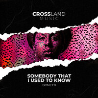 Somebody That I Used To Know - Bonetti