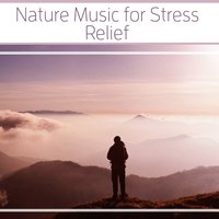Nature Sounds Relaxation - Relaxing Sounds of Nature