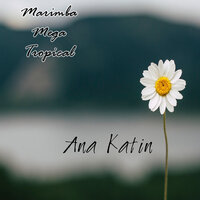 Nikol - Marimba Mega Tropical