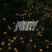 nightmare - purity