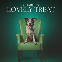 Discovering Hidden Gems in Salisbury - Relaxing Music for Dogs