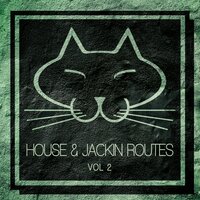 Funky Cat - Alex Raider